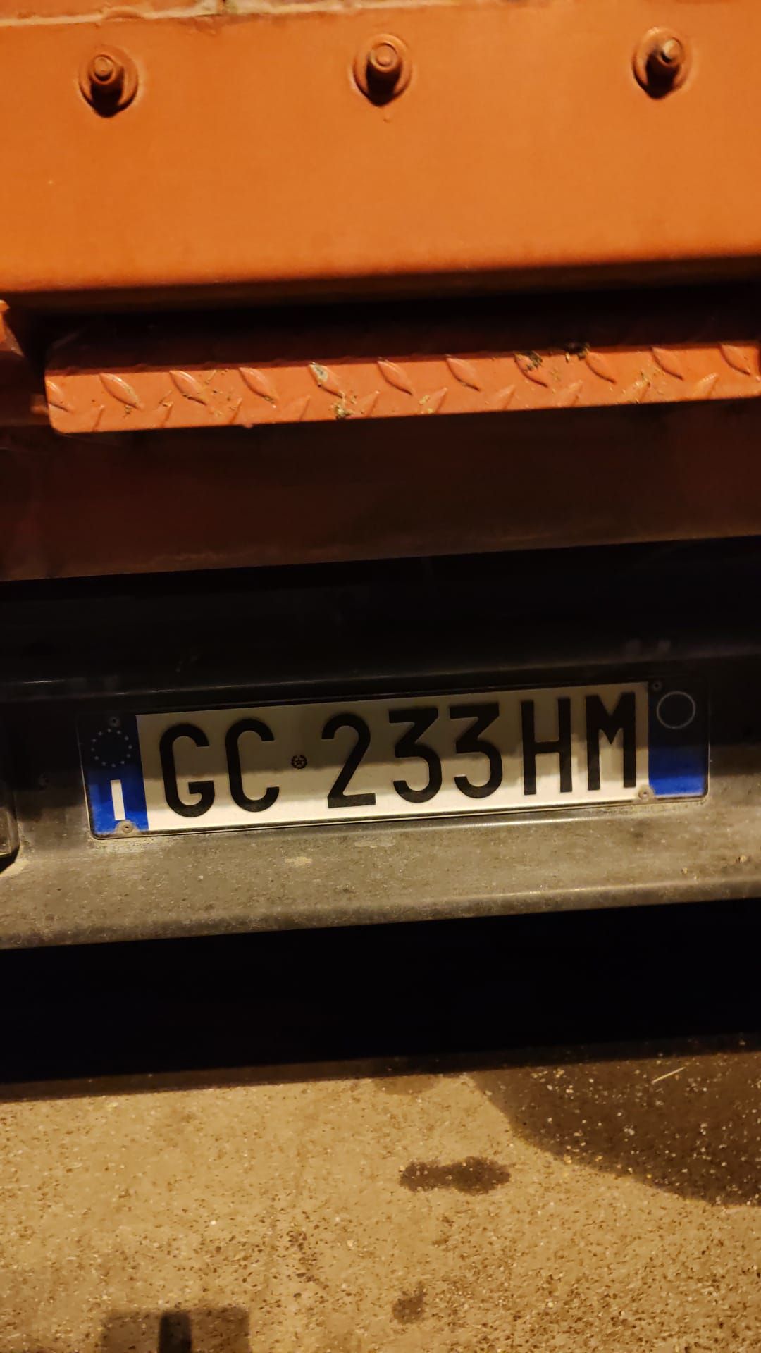 FORTI (CSA) Cattura suino: il camion targa GC233HM non è della ditta affidataria. - SprayNews - Monica Macchioni