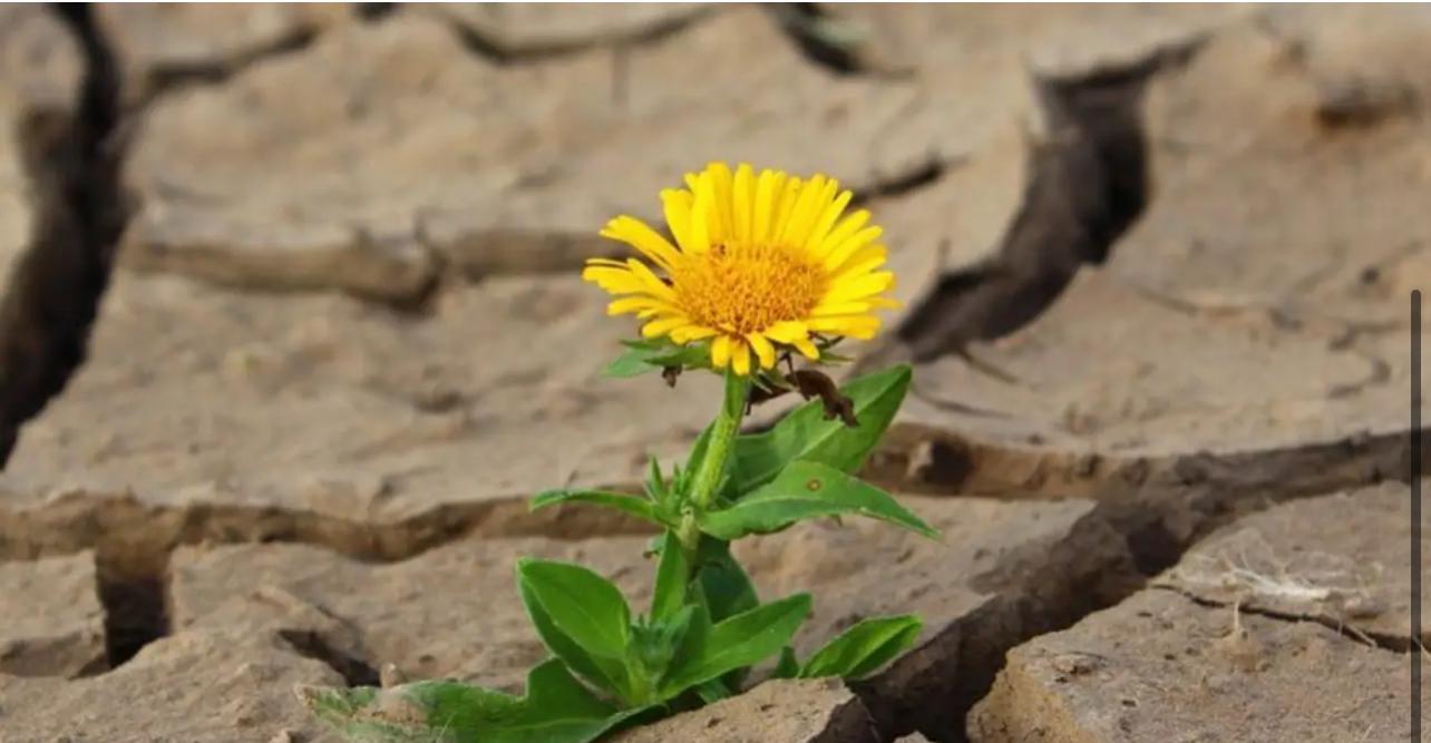 Salsone-resistere-SprayNews-Monica-